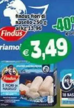Il Castoro Supermercati Findus Nasello offerta