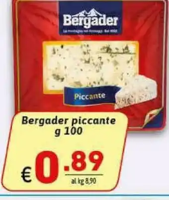 Ipercarni Bergader Formaggio offerta