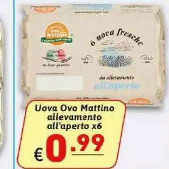 Ovo mattino Uova