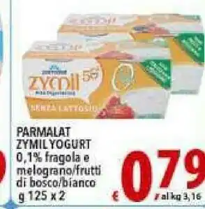 Iper Triscount Parmalat Yogurt offerta