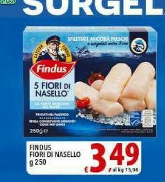Gros Findus Nasello offerta