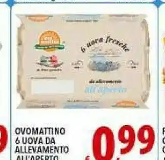Gros Parmalat Uova offerta