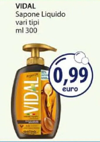 Acqua & Sapone VIDAL Sapone Liquido vari tipi ml 300 offerta