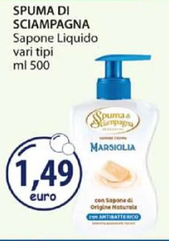 Acqua & Sapone SPUMA DI SCIAMPAGNA Sapone Liquido vari tipi ml 500 offerta
