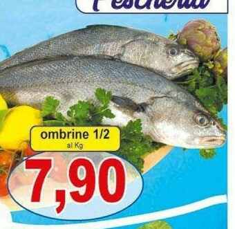 Gros Pesce offerta