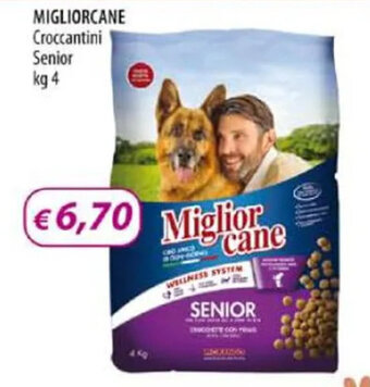 Acqua & Sapone MIGLIORCANE Croccantini Senior kg 4 offerta