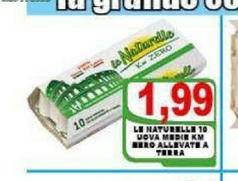 Gros Uova offerta
