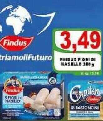 Gros Findus Nasello offerta