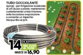 Orizzonte Tubo offerta