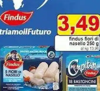 Findus Nasello