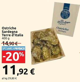 Carrefour Ostriche Sardegna Terre d'Italia 400 g offerta
