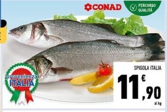 Conad Conad spigola italia offerta