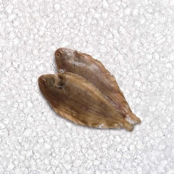 Sogliola piccola