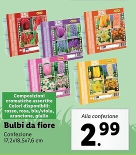 Lidl Bulbi da fiore offerta