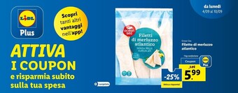 Lidl Ocean sea filetto di merluzzo atlantico offerta