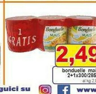 Gros Bonduelle Mais offerta