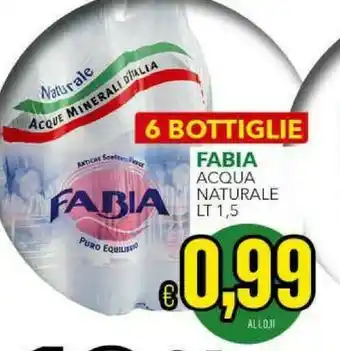 Iper Triscount Fabia Acqua offerta