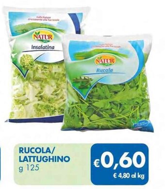 RUCOLA/ LATTUGHINO g 125