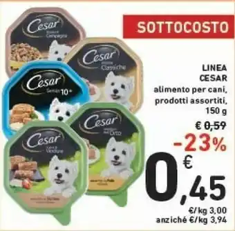 Conad Cesar Linea Alimento Per Cani offerta