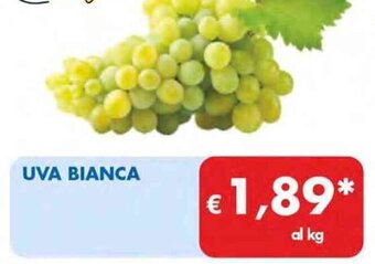 MD Discount UVA BIANCA offerta