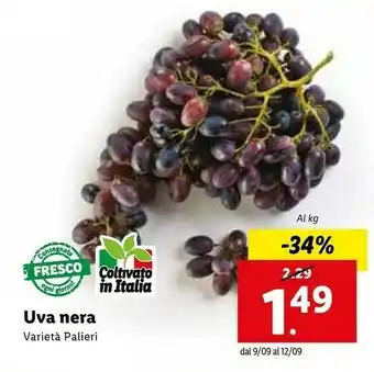 Lidl Uva Nera Varietà Palieri offerta