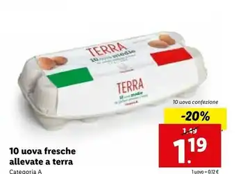 Lidl 10 Uova Fresche Allevate A Terra offerta