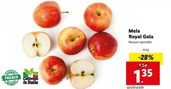 Lidl Mele Royal Gala offerta
