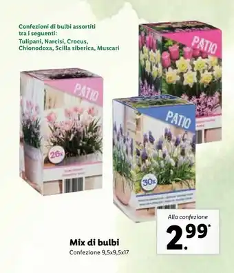 Lidl Mix Di Bulbi Confezione offerta