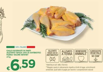 Bennet Gallo Ruspante In Parti offerta