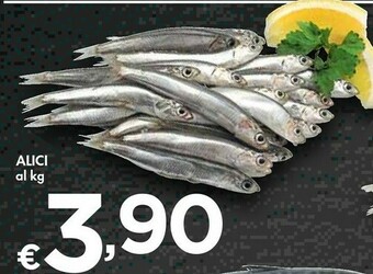 Bennet Alici offerta