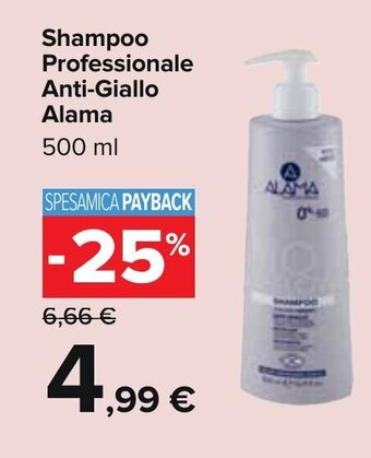 Carrefour Shampoo Professionale Anti-Giallo Alama 500 ml offerta