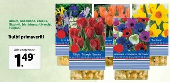 Lidl Bulbi Primaverili offerta