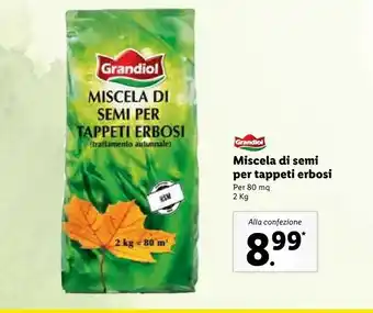 Lidl Grandiol Miscela Di Semi Per Tappeti Erbosi offerta