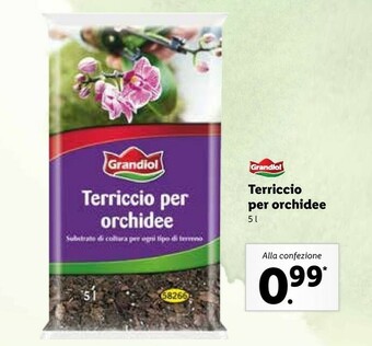 Lidl Grandiol Terriccio Per Orchidee offerta