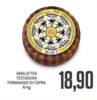 Supermercati Piccolo AMALATTEA TESTADURA FORMAGGIO DI CAPRA offerta