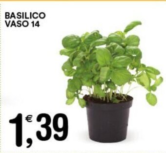 Gecop BASILICO VASO 14 offerta