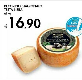 Bennet Testanera Pecorino Stagionato offerta