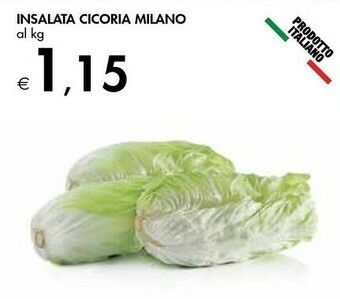 Insalata Cicoria Milano