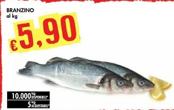 Bennet Branzino offerta