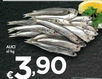 Bennet Alici offerta