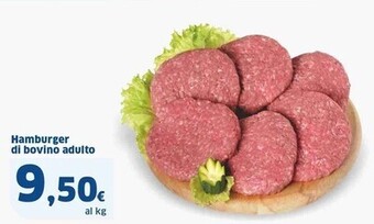 Sigma Hamburger di bovino adulto offerta