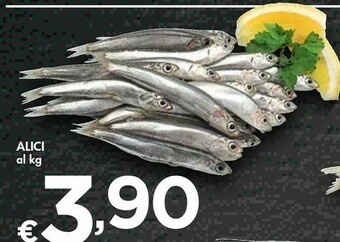 Bennet Alici offerta