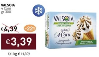 Prezzemolo e Vitale VALSOIA 4 Coni gr 300 offerta