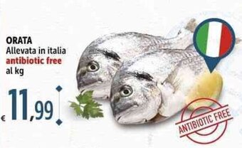 Carrefour Market ORATA offerta