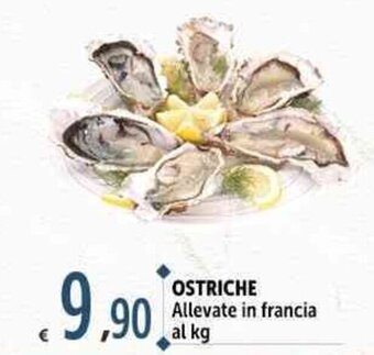Carrefour Market OSTRICHE offerta