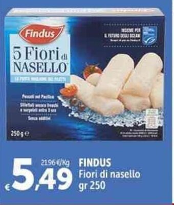 Carrefour Market FINDUS Fiori di nasello gr 250 offerta