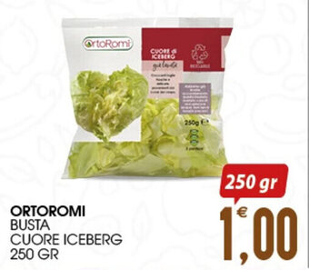 SpesAmica ORTOROMI BUSTA CUORE ICEBERG 250 GR offerta