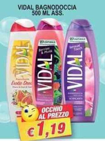Maury's VIDAL BAGNODOCCIA 500 ML ASS. offerta
