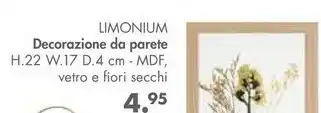 Limonium Decorazione Da Parete