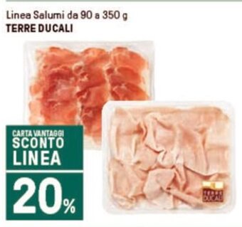 Iper La Grande Linea Salumi da 90 a 350 g TERRE DUCALI offerta